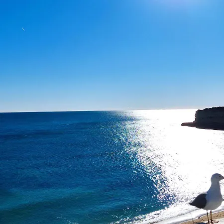 아파트 5b Sra Da Rocha - Casas & Papeis *