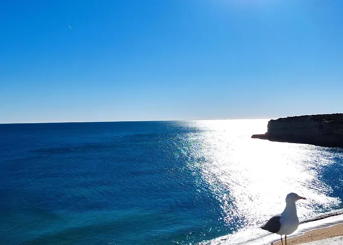 Apartament 5b Sra Da Rocha - Casas & Papeis *